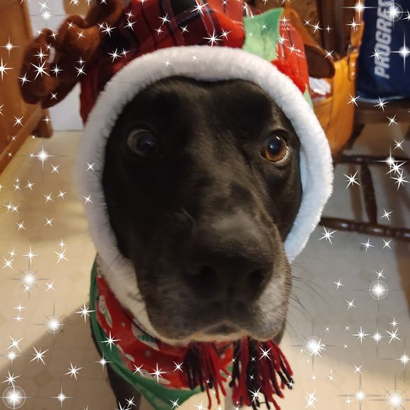 Meet your Posher, Hailey & Kelly. - Picture 7 of 7